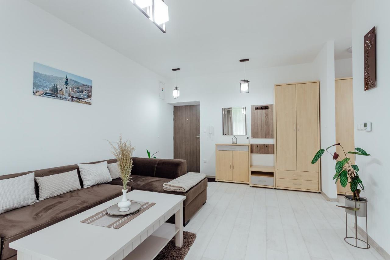 Apartmán vo vile Kammergraf Banská Štiavnica Exterior foto